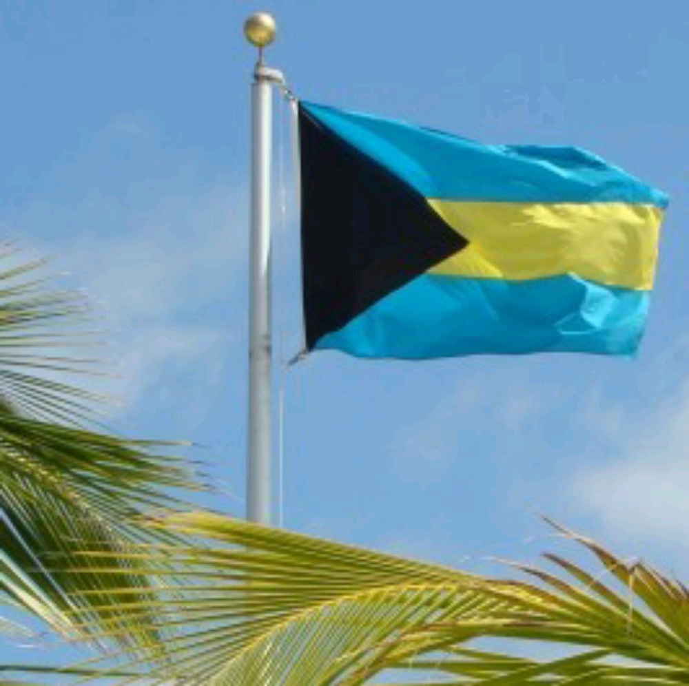 Meet your Posher, Aisha